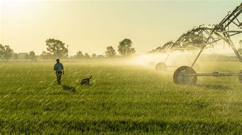 CSU receives $12 million for sustainable agriculture research.
